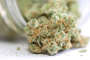 Nahaufnahme von Cannabisblüten mit einer Mischung aus Grün-, Orange- und Weißtönen, die die detaillierten Trichome und die Textur zeigt. Die Blüten quellen aus einem unscharfen Behälter im Hintergrund.