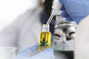 Ein Wissenschaftler mit blauen Handschuhen entnimmt mit einer Pipette Flüssigkeit aus einer Flasche mit einem Cannabisblatt-Etikett. Im Hintergrund ist ein Mikroskop zu sehen, das eine Laborumgebung suggeriert.