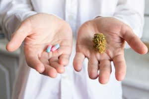 Eine Person streckt zwei offene Hände aus. Die linke Hand hält drei blaue und rosa Kapseln, während die rechte Hand eine kleine Cannabisblüte hält. Die Person trägt ein weißes Hemd.