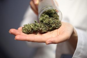 Eine Person hält eine Medikamentenflasche verkehrt herum und schüttet Cannabisblüten in ihre Hand. Die Person trägt einen weißen Kittel, der teilweise im Hintergrund zu sehen ist, was auf eine klinische oder medizinische Umgebung hindeutet.